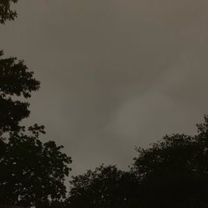 Meet your Posher, Lili